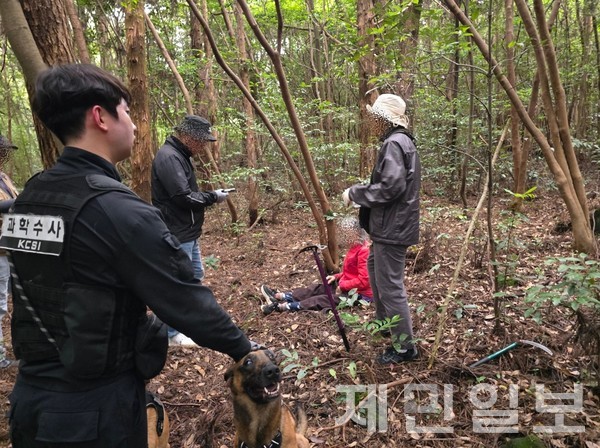 실종된 80대 노인이 19일 오전 9시 15분께 서귀포시 색달동 다래마을 인근 곶자왈에서 경찰 수색견에 의해 발견됐다.(사진-제주 경찰청)