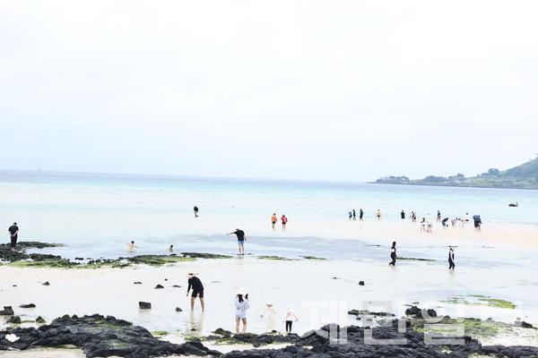 제주지역 해수욕장이 조기 개장한 첫날인 24일 해수욕장을 찾은 도민과 관광객의 모습.전예린 기자 