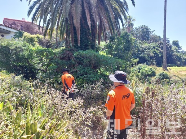 제주에서 실종된 70대 치매 노인이 숨진 채 발견됐다.(사진=도 소방안전본부)