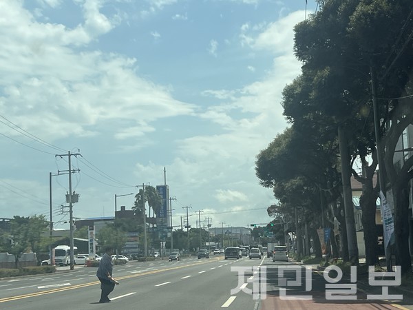 30일 제주의 한 횡단보도 앞에 서 있던 한 노인은 금세 바뀌어 버린 보행 신호에 길을 건너지 못하자 차들이 오지 않는 때를 틈타 무단횡단을 시도했다.전예린 기자 