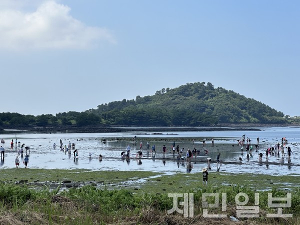 지난해 개최된 제3회 성산 조개바당 축제 체험 프로그램