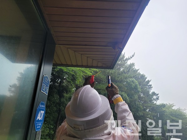 소방 대원이 벌집 제거 작업을 벌이고 있다.(제주소방안전본부 제공)
