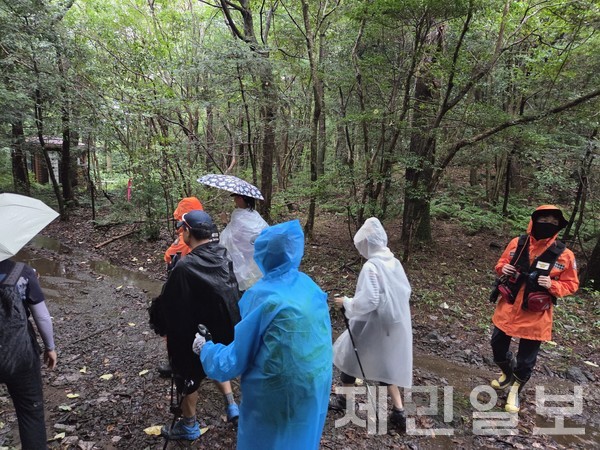2일 낮 폭우로 인해 서귀포시 남원읍 하례리 한라산 둘레길 5코스에서 탐방객 11명이 고립됐다 소방에 의해 구조됐다.