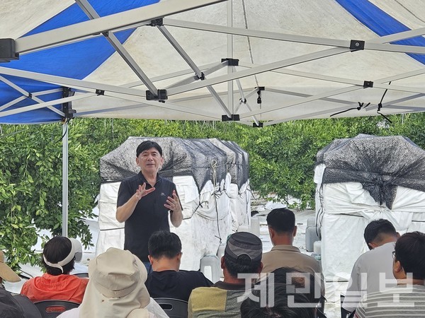 김진성 성목이식-조생 명인이 지난 8월 27일 남원읍 신례리 자신의 과원에서 지역 농가를 대상으로 고품질 감귤 생산 재배법에 대해 교육하고 있다.