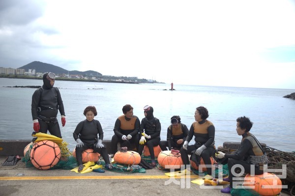 8일 제주시 조천읍 조천항 인근 해상에서 수중 해양환경 정화 활동이 진행된 가운데, 제주도 해녀협회 소속 해녀들이 참여해 힘을 보탰다.전예린 기자 