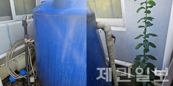 서귀포시 모 마을회 상가 건물 물탱크 측면에 연결된 수돗물 절도 도수관(사진 왼쪽)과 물탱크 뒷면에 연결된 정상적인 직수관(사진 오른쪽)