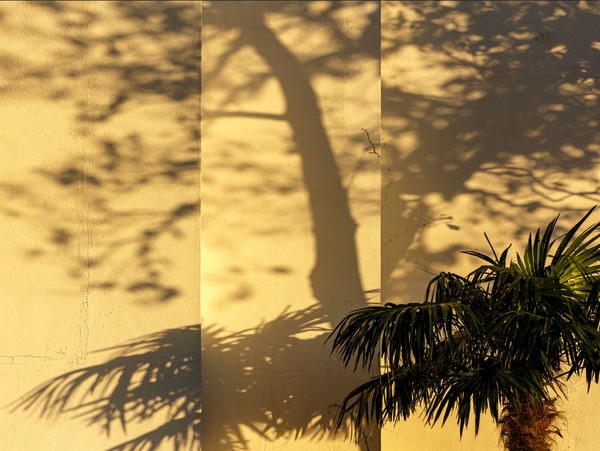 오영종 작 'Photographic Spatiality IV'