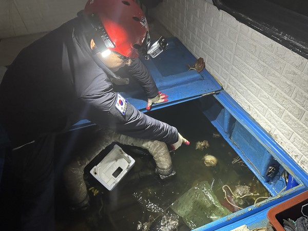 제주해양경찰서 자료제공