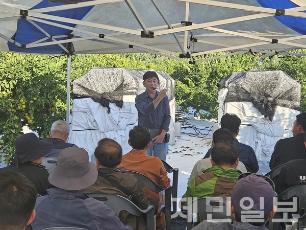 김진성 성목이식-조생 명인이 지난 10월 22일 남원읍 신례리 자신의 과원에서 지역 농가를 대상으로 고품질 감귤 생산 재배법에 대해 교육하고 있다.