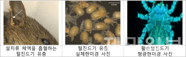 질병관리청 자료제공