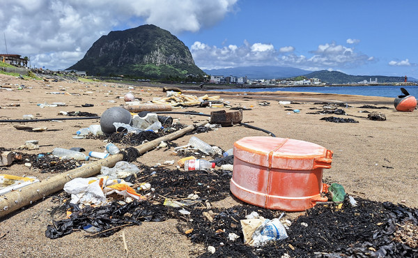 김미연 학생의 '해양쓰레기'