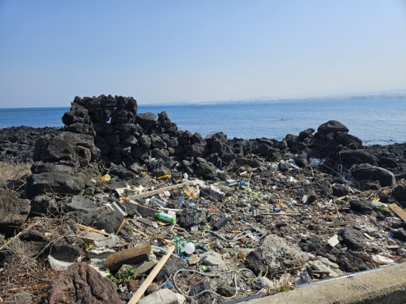 복원 예정인 비양도 불턱이다. 