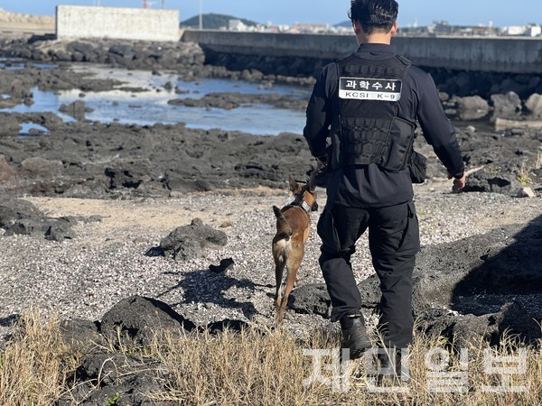 3곳으로 나뉜 수색 구역에는 헬기와 드론, 마약 탐지견이 동원됐다.전예린 기자 