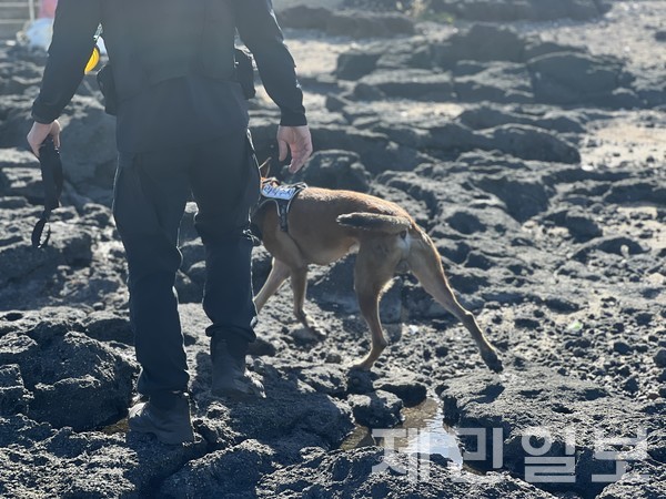 제주해양경찰청,해병대 9여단, 제주자치경찰단, 세관, 국정원, 바다환경지킴이, 드론, 수색견 등이 투입됐다.전예린 기자 