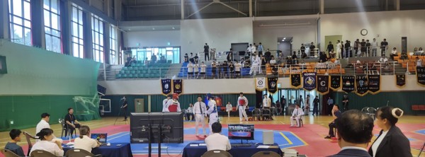 2024 서귀포시 한국실업최강전 전국태권도대회 경기 모습