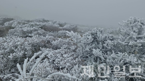 한라산국립공원 자료제공