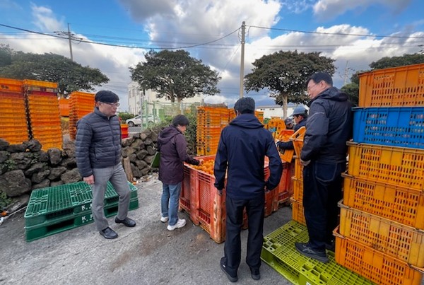 서귀포시와 서귀포지역경찰대가 지난 18일 새벽시간대 합동단속을 실시해 상품외감귤을 불법유통 정황이 포착된 효돈동 소재 모 선과장을 적발했다.  