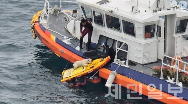 서귀포해양경찰서 서귀포시 보궐선거 '제2공항' 쟁점