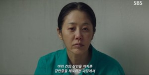 '<b>사마귀</b>' <b>고현정</b>, 연쇄살인의 유산과 모방범의 그림자