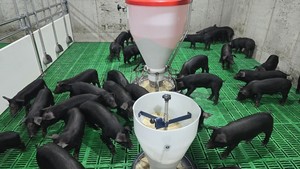 과감한 재건축 승부수...전국 최고의 '청정 농장' 우뚝 - 뉴스 썸네일 이미지