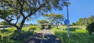 내 손으로 만드는 '도시숲'...내 손으로 뽑는 '핫플' - 뉴스 썸네일 이미지